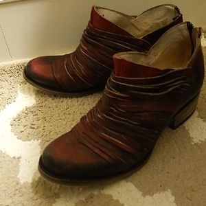 Freebird by Steven Score